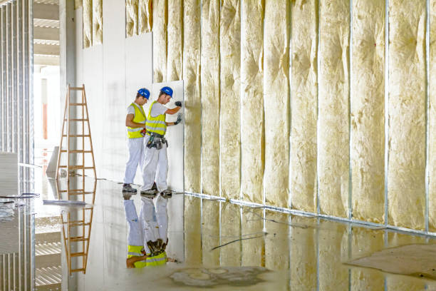Best Eco-Friendly Insulation in Union City, GA